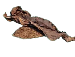 Grabba Leaf (1/4 Leaf)