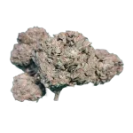 BUDGET Oz Cherry Pie