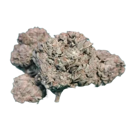 BUDGET Oz Cherry Pie