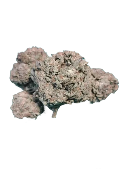 BUDGET Oz Cherry Pie