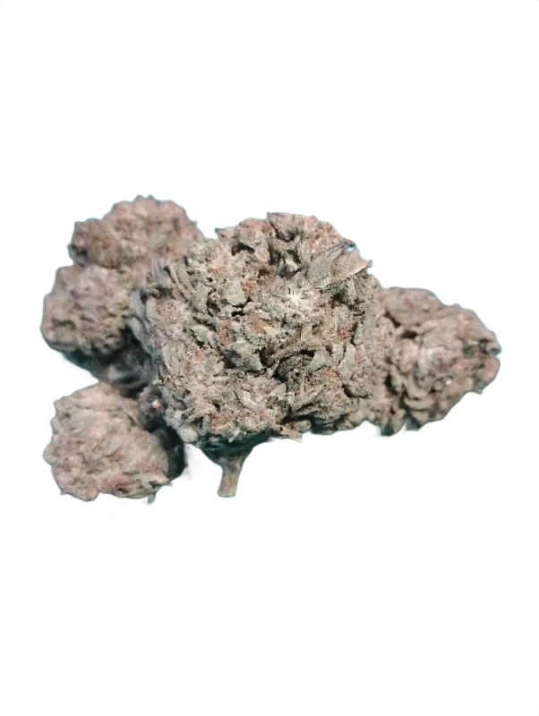 BUDGET Oz Cherry Pie