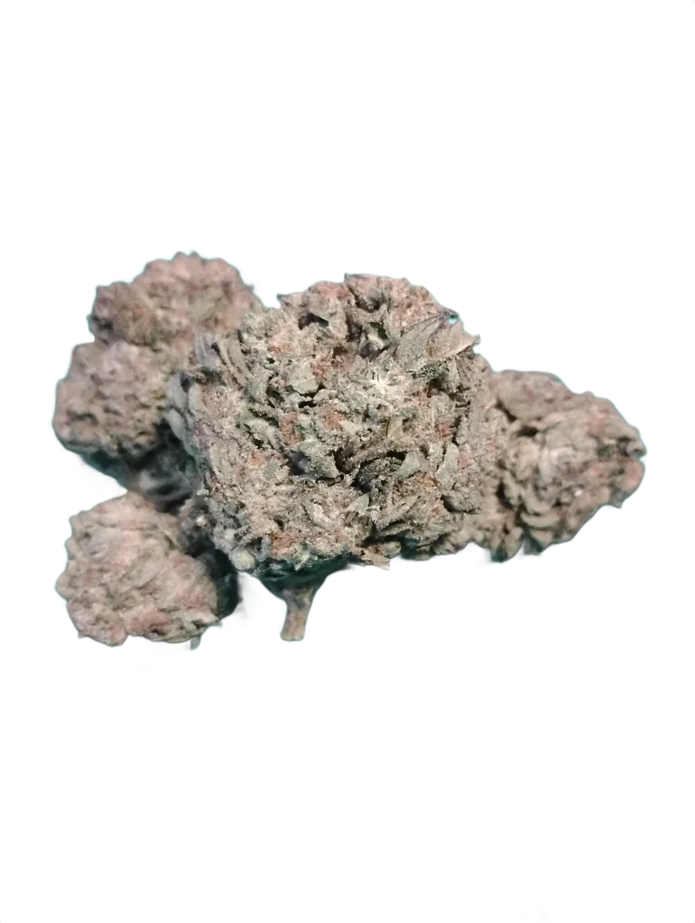 BUDGET Oz Cherry Pie