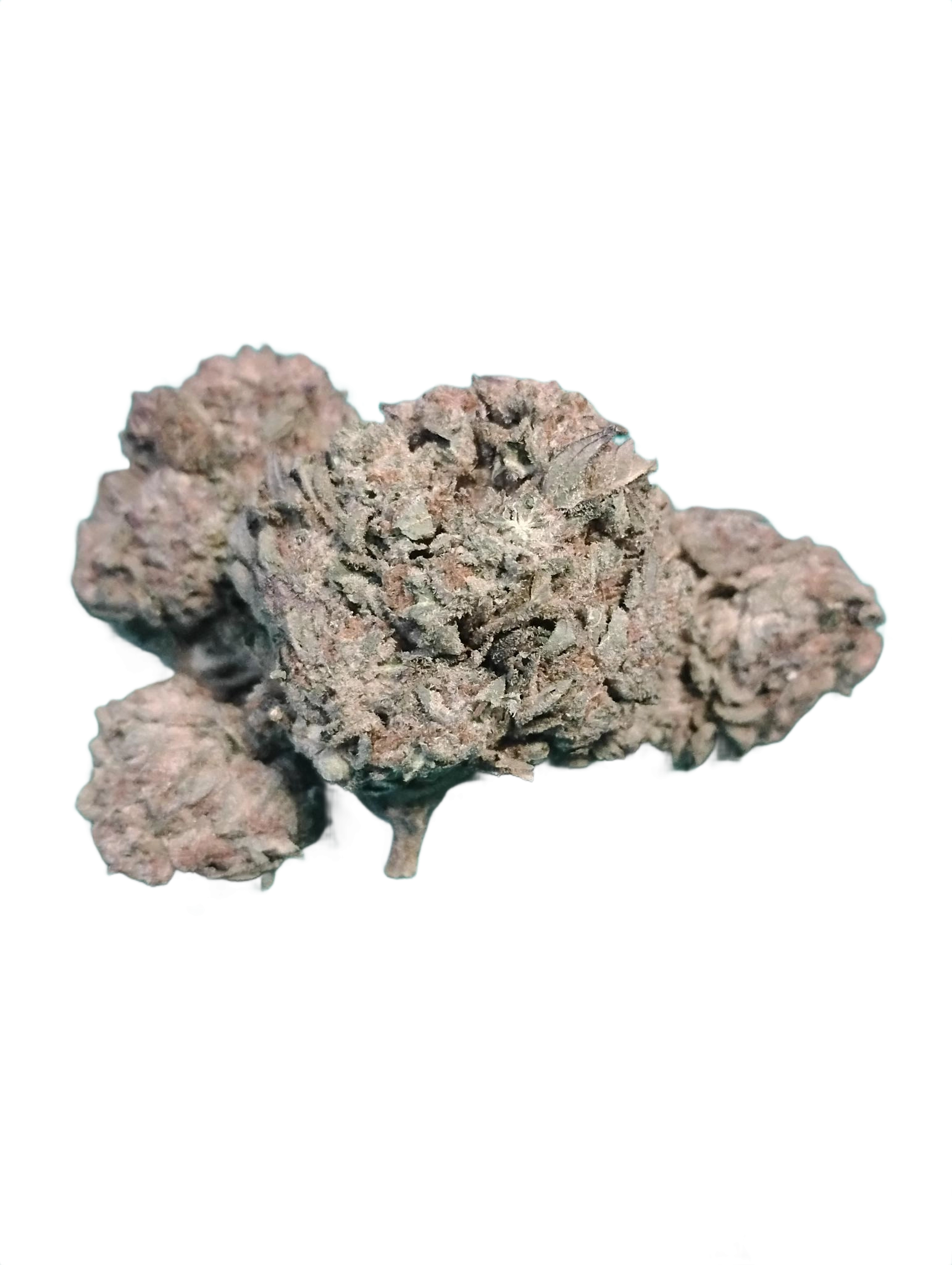 BUDGET Oz Cherry Pie BUDGET Oz Cherry Pie